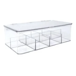 Clear Hinged Storage Bin, Medium